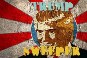 Capa do jogo Trump Sweeper