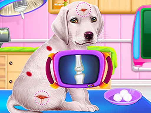 Capa do jogo Labrador Puppy Daycare Salon