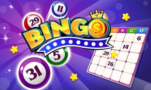 Capa do jogo Bingo