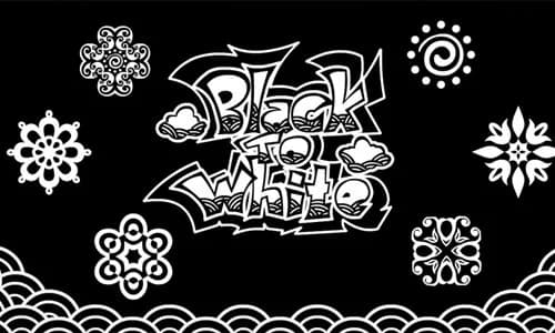 Capa do jogo Black to White