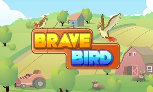Capa do jogo Brave Bird