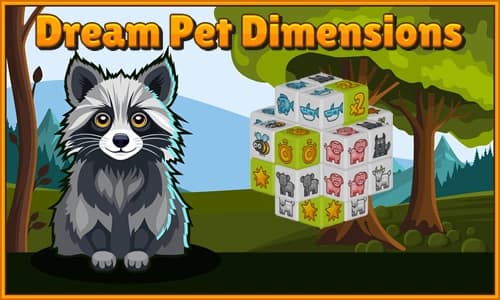 Capa do jogo Dream Pet Dimensions