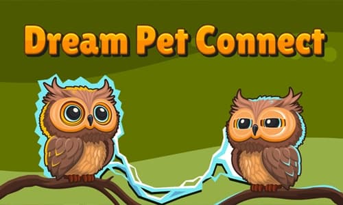 Capa do jogo Dream Pet Connect