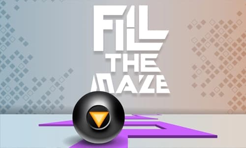 Capa do jogo Fill the Maze