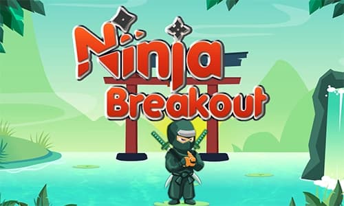 Capa do jogo Ninja Breakout