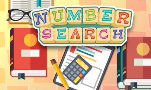 Capa do jogo Number Search